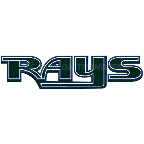 Tampa Bay Rays Iron-on Stickers (Heat Transfers)NO.1951